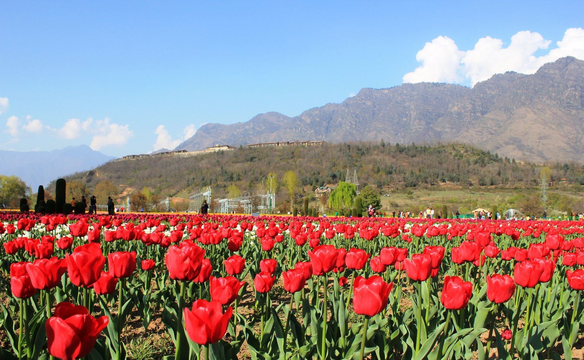 Hotel Taj Dal View Srinagar Wyposażenia zdjęcie